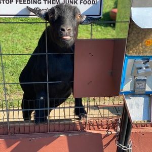 Meet your Posher, Becky